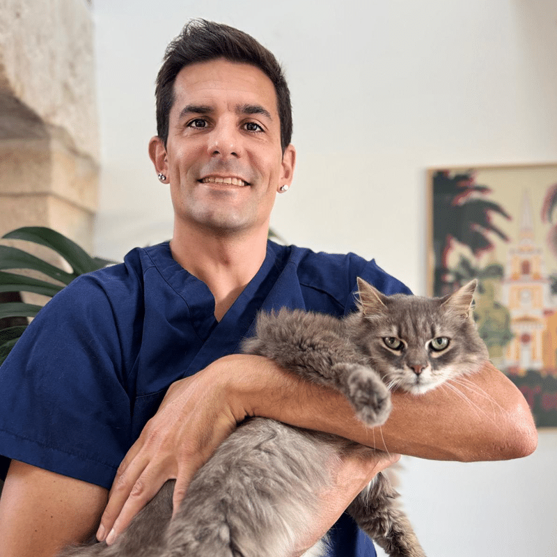 Dr Vét. Sylvain Vetticoz